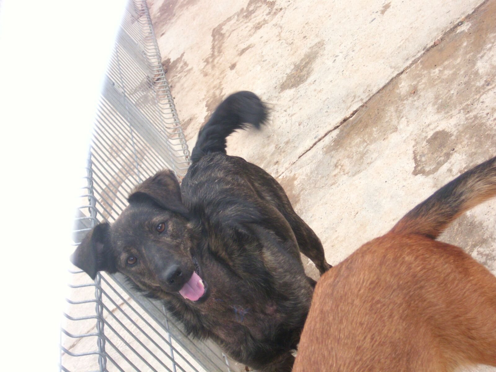 Happy
