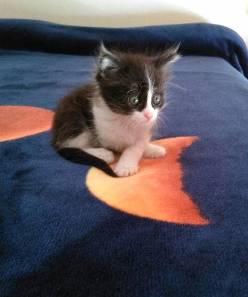 Jerry