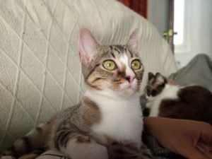 7b0012be C8c9 4d3f A645 42c2fe208ed3