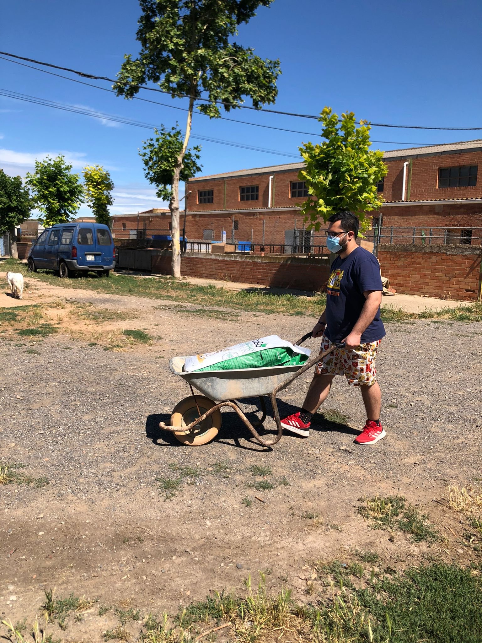 Voluntarios1