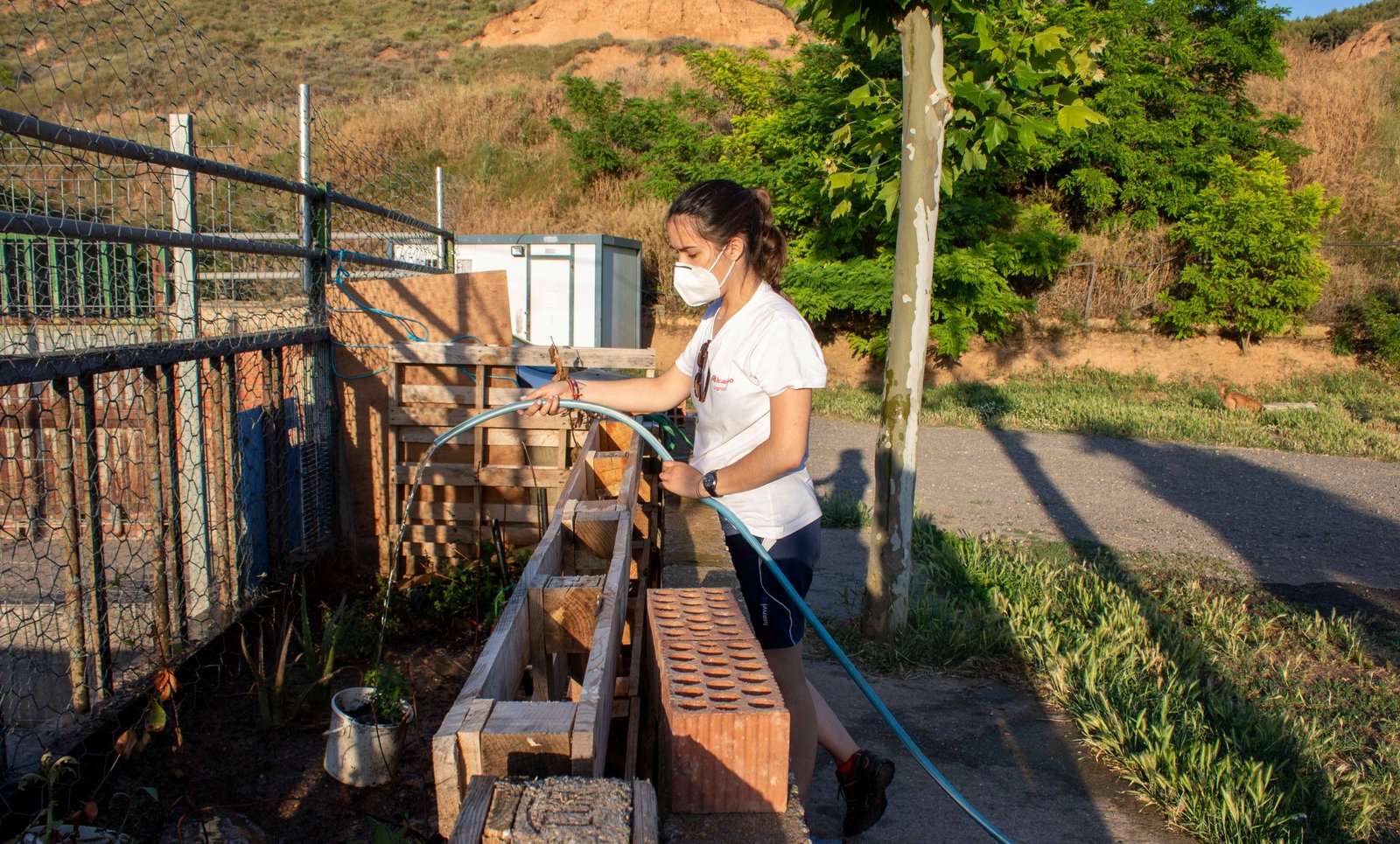 Voluntarios4