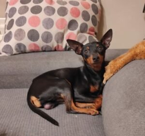 Paco