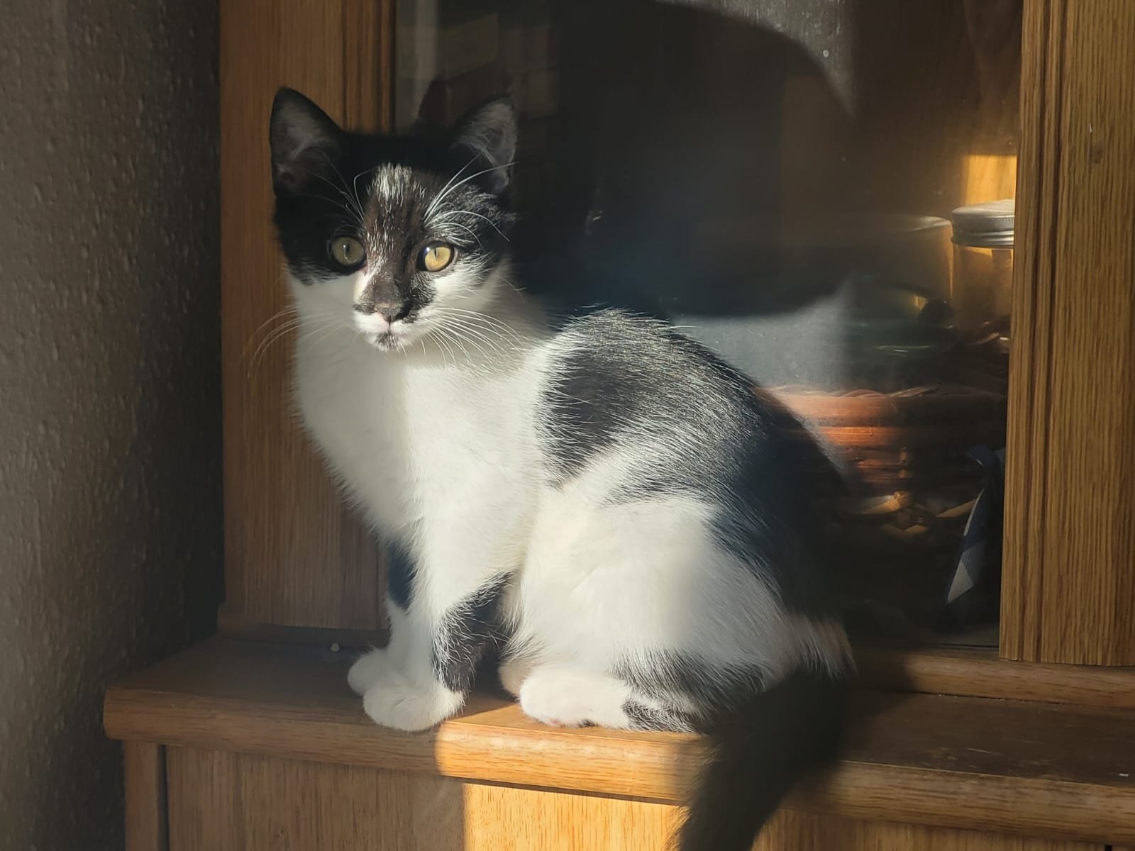 Nina 1