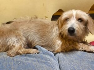 Whatsapp Image 2025 01 27 At 21.02.13