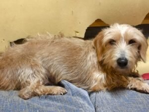 Whatsapp Image 2025 01 27 At 21.03.27