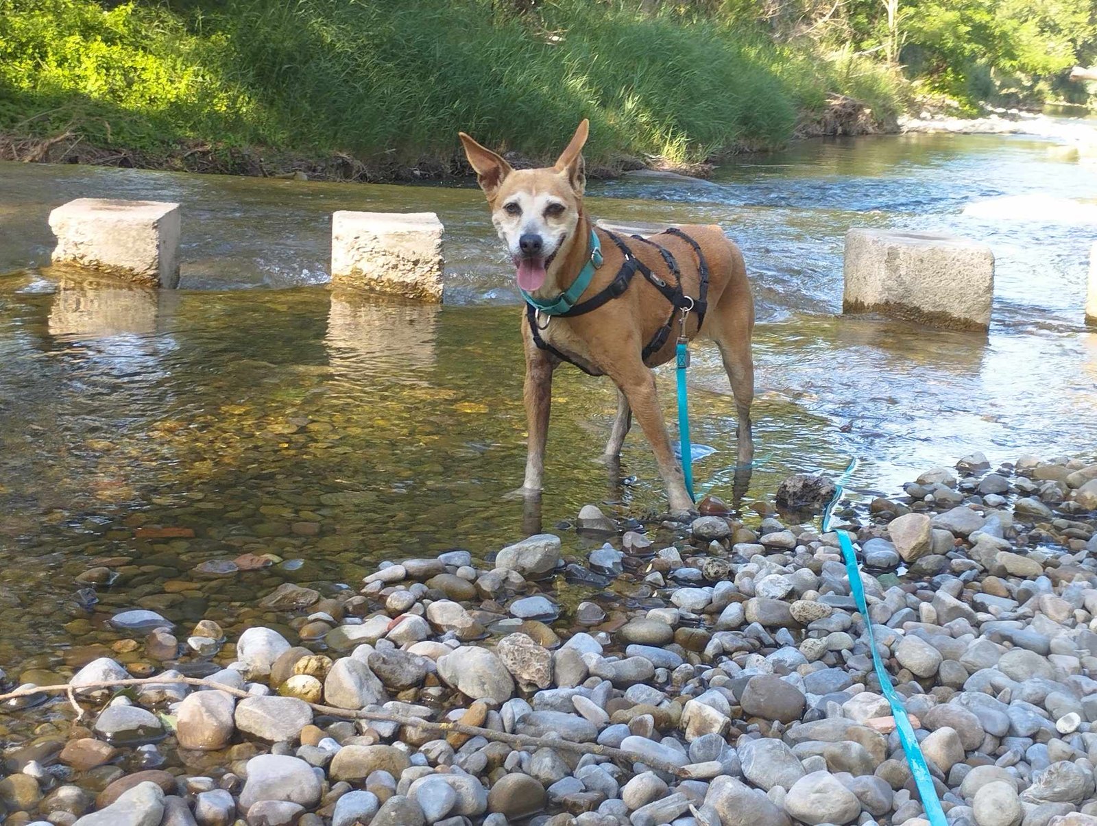 Ritaaaa