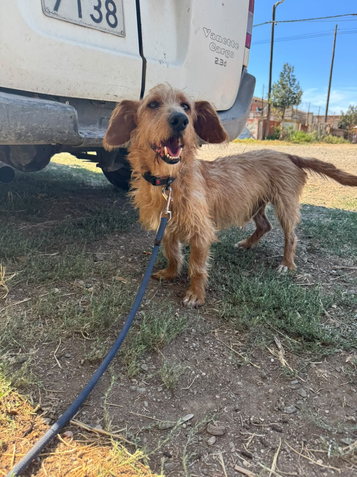 Paco