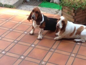 Minerva Y Andres