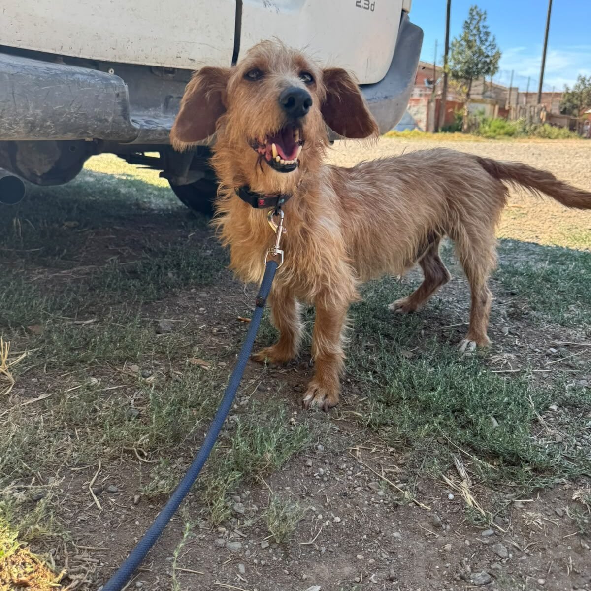 Paco